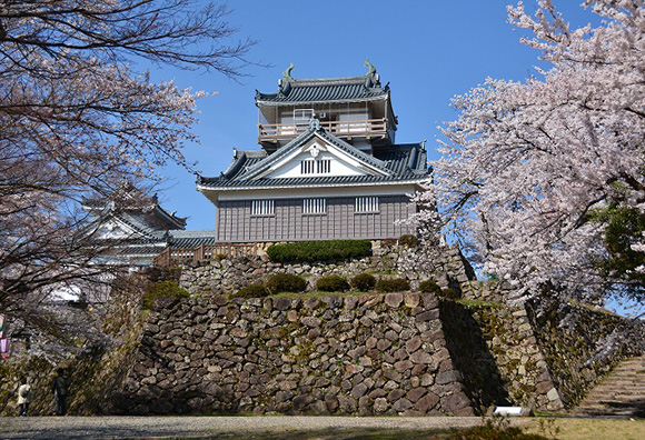 Echizen Ono Castle