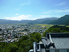 View from the castle tower (South)