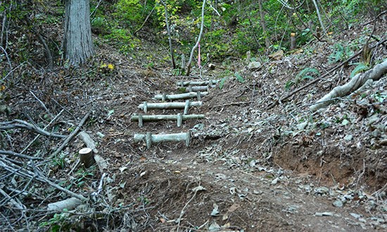 山道を登っていく (4/7)