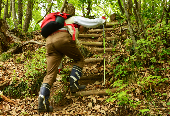 A rugged mountain path